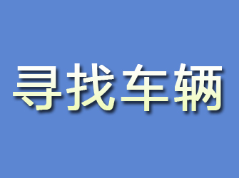 和布克赛尔寻找车辆