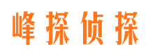 和布克赛尔市婚外情调查